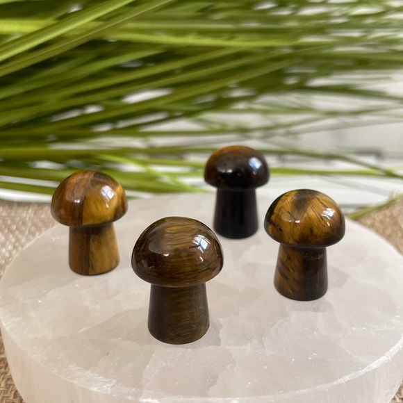 🪬 Mini Mushrooms crystals 🪬 - Picture 5 of 5